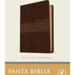 Biblia NTV Letra Gigante Marrón