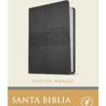 Biblia NTV Letra Gigante Gris