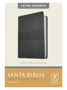 Biblia NTV Letra Gigante Gris