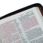NTV Biblia LG con Referencias Ziper / Madera – imagen 4