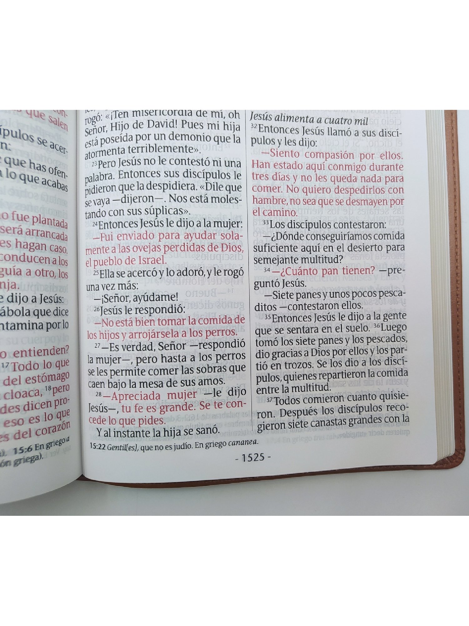 biblia NTV letra super gigante cafe claro 4 biblia NTV letra super gigante cafe claro - Image 4