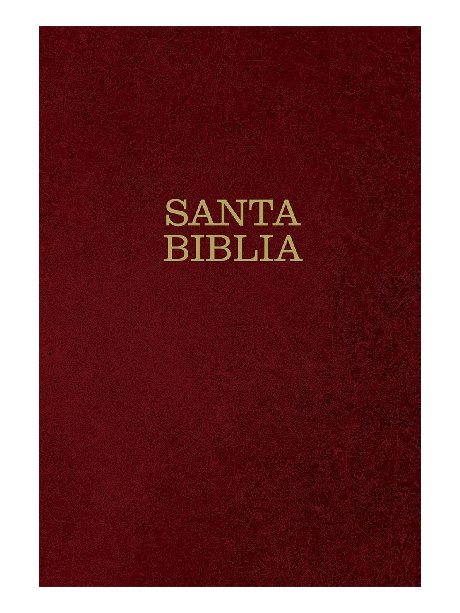 SANTA BIBLIA NTV, LETRA SUPER GIGANTE HC BUR NTV 2 SANTA BIBLIA NTV, LETRA SUPER GIGANTE HC BUR NTV - Image 2