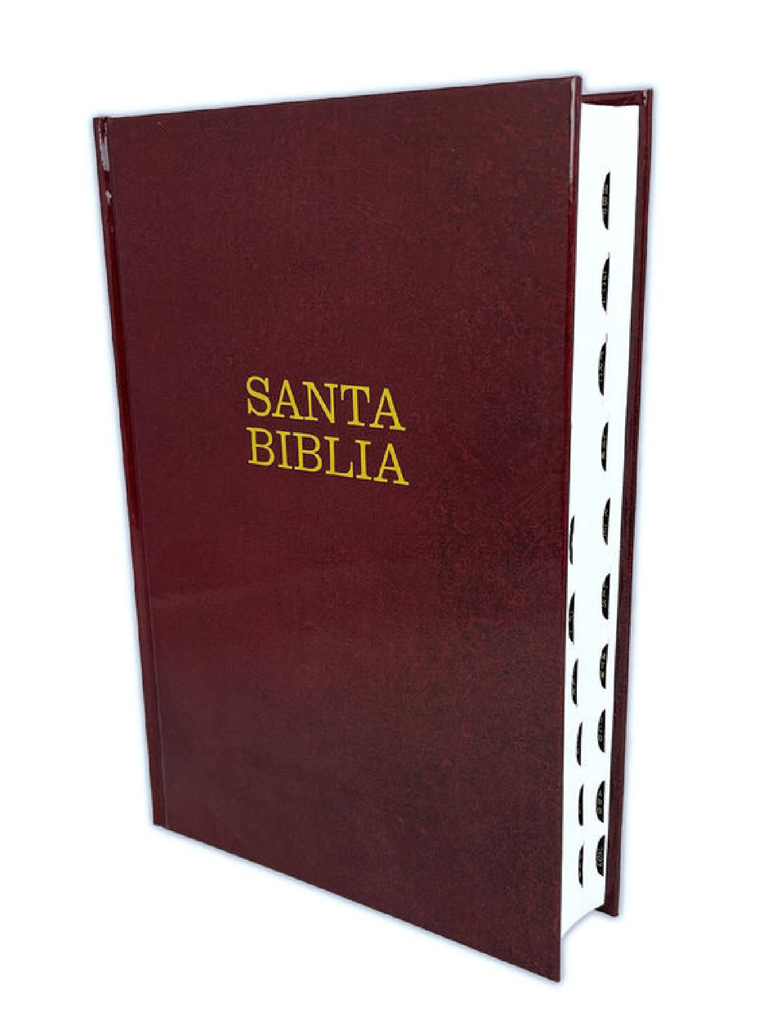 Biblia NTV Letra Super Gigante Vinotinto Índice 2 Biblia NTV Letra Super Gigante Vinotinto Índice - Image 2