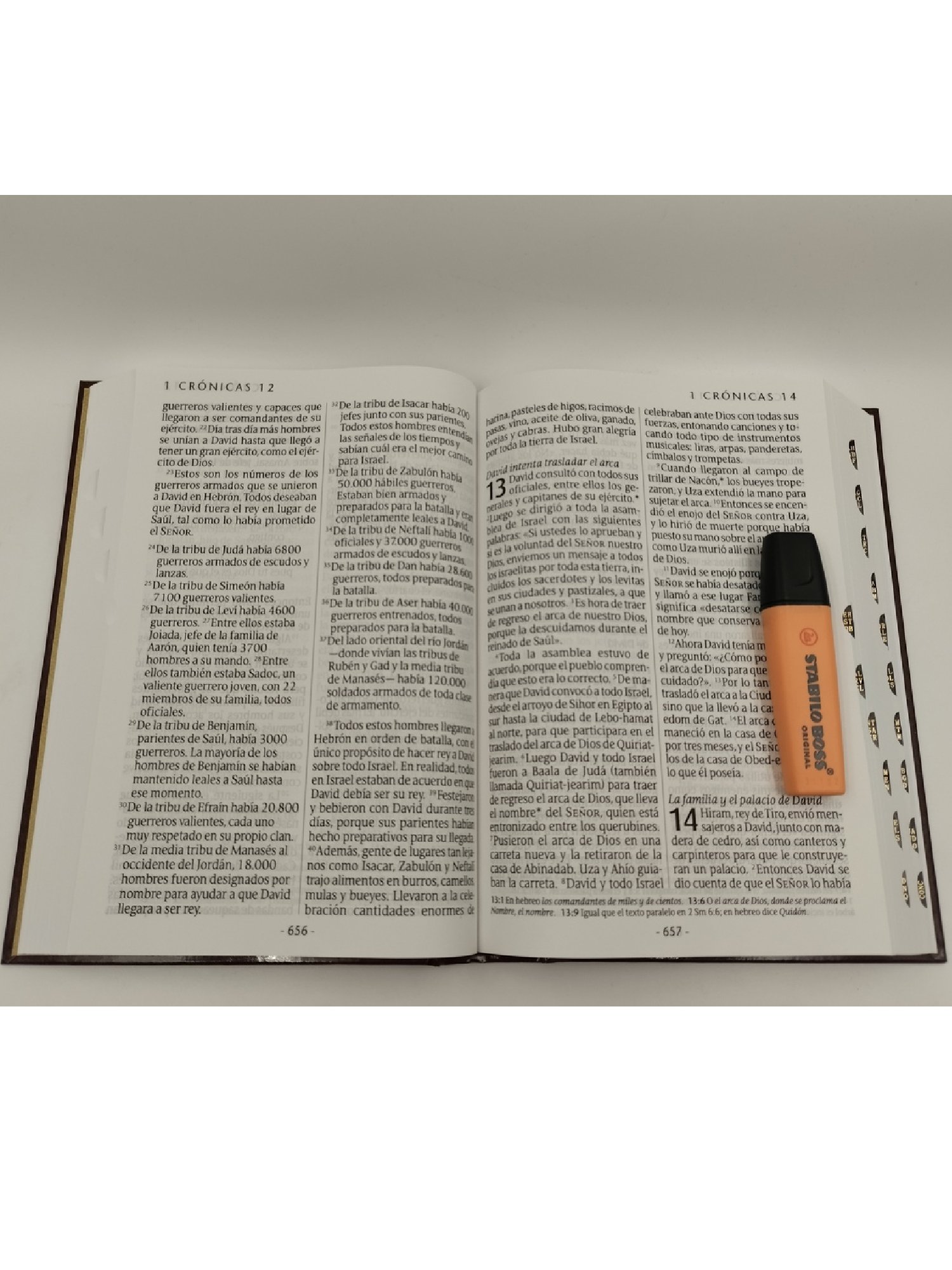 Biblia NTV Letra Super Gigante Vinotinto Índice 4 Biblia NTV Letra Super Gigante Vinotinto Índice - Image 4