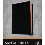 Biblia NTV Letra Gigante Negra Canto Rosa