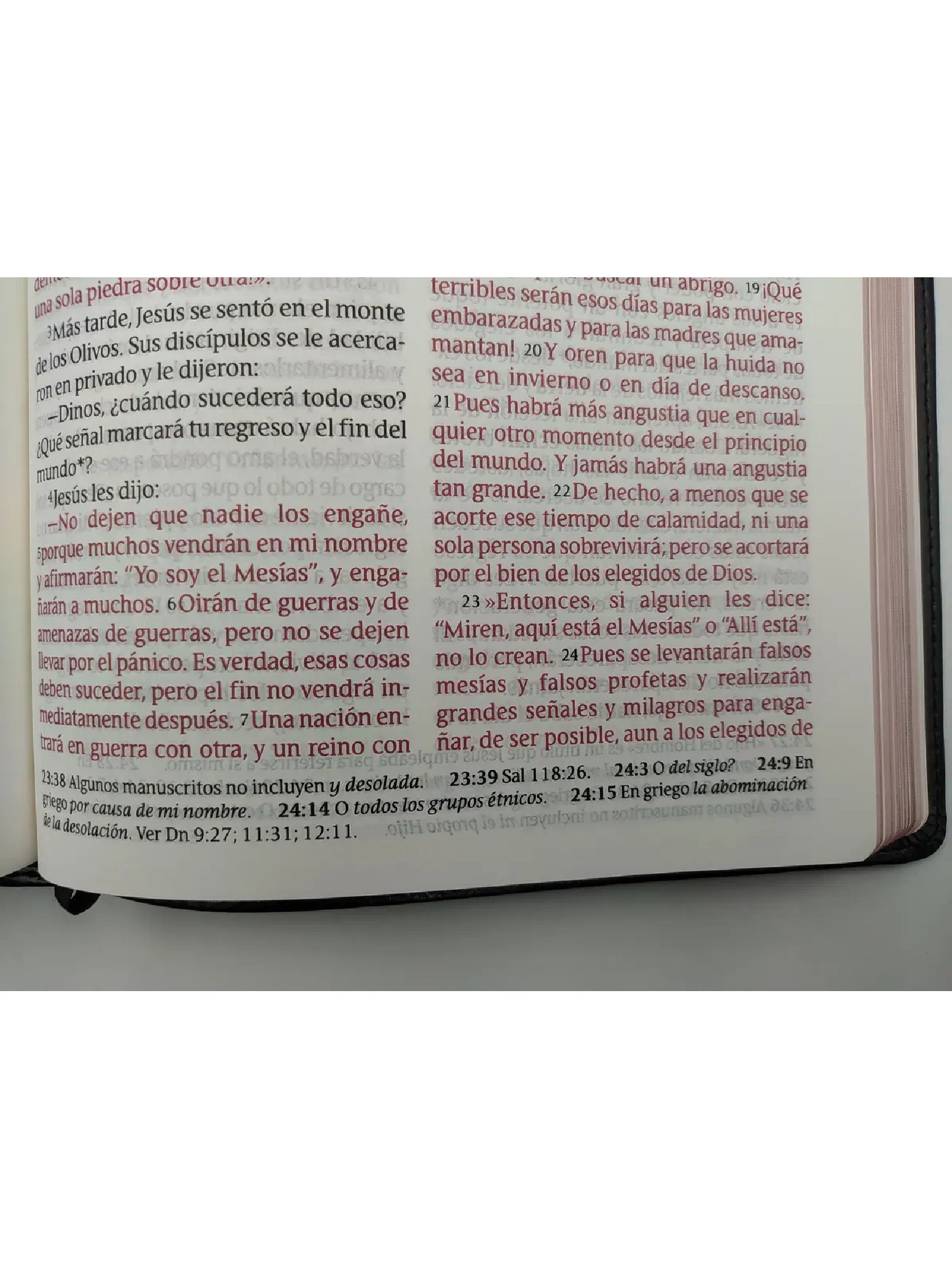 Biblia NTV Letra Gigante Negra Canto Rosa 2 Biblia NTV Letra Gigante Negra Canto Rosa - Image 2