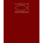 Biblia De Promesas Vinotinto