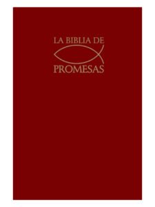 Biblia RVR 1960 De Promesas Vinotinto