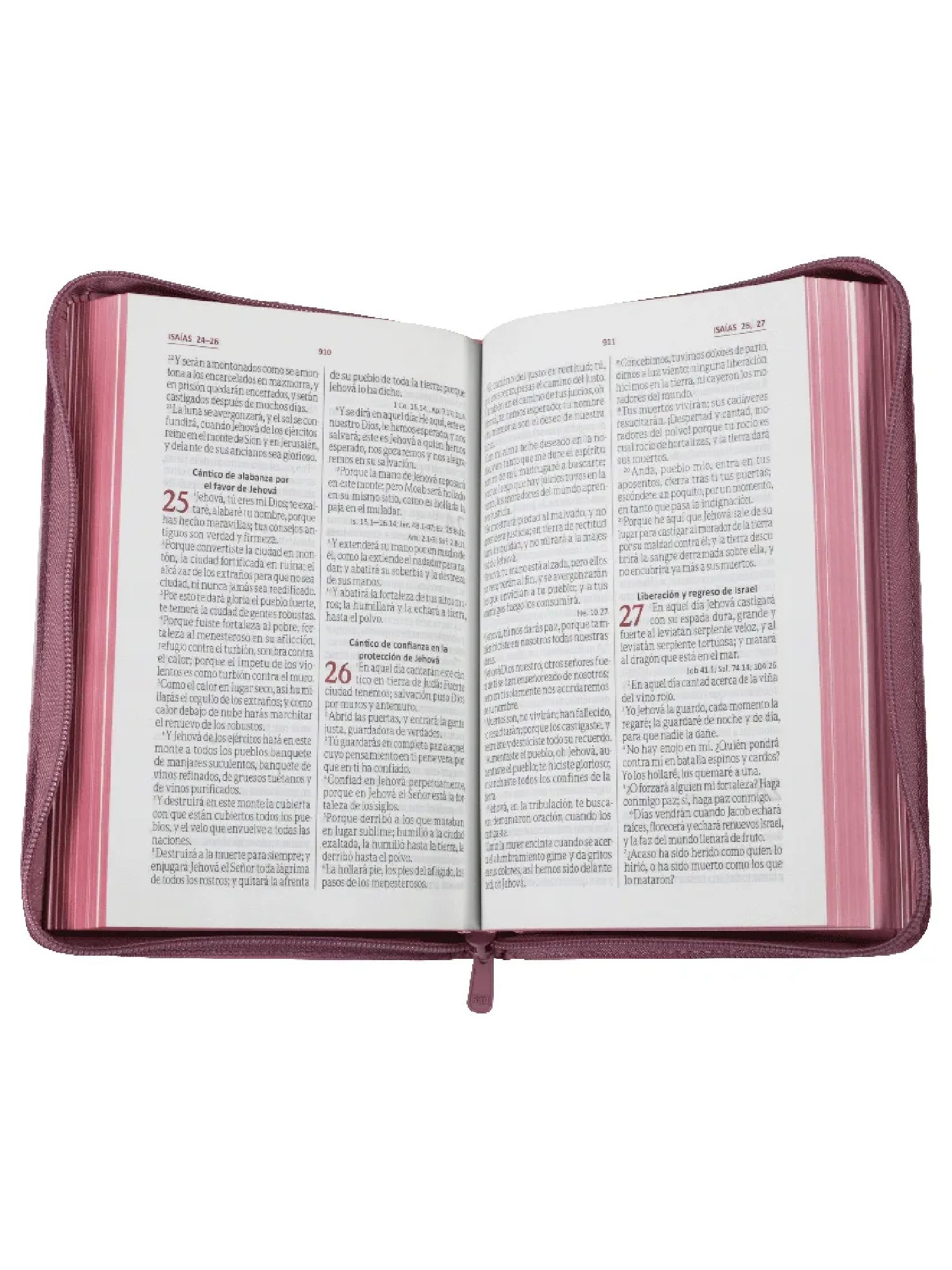 Biblia RV60 LG Rosada QR 3 Biblia RV60 LG Rosada QR - Image 3