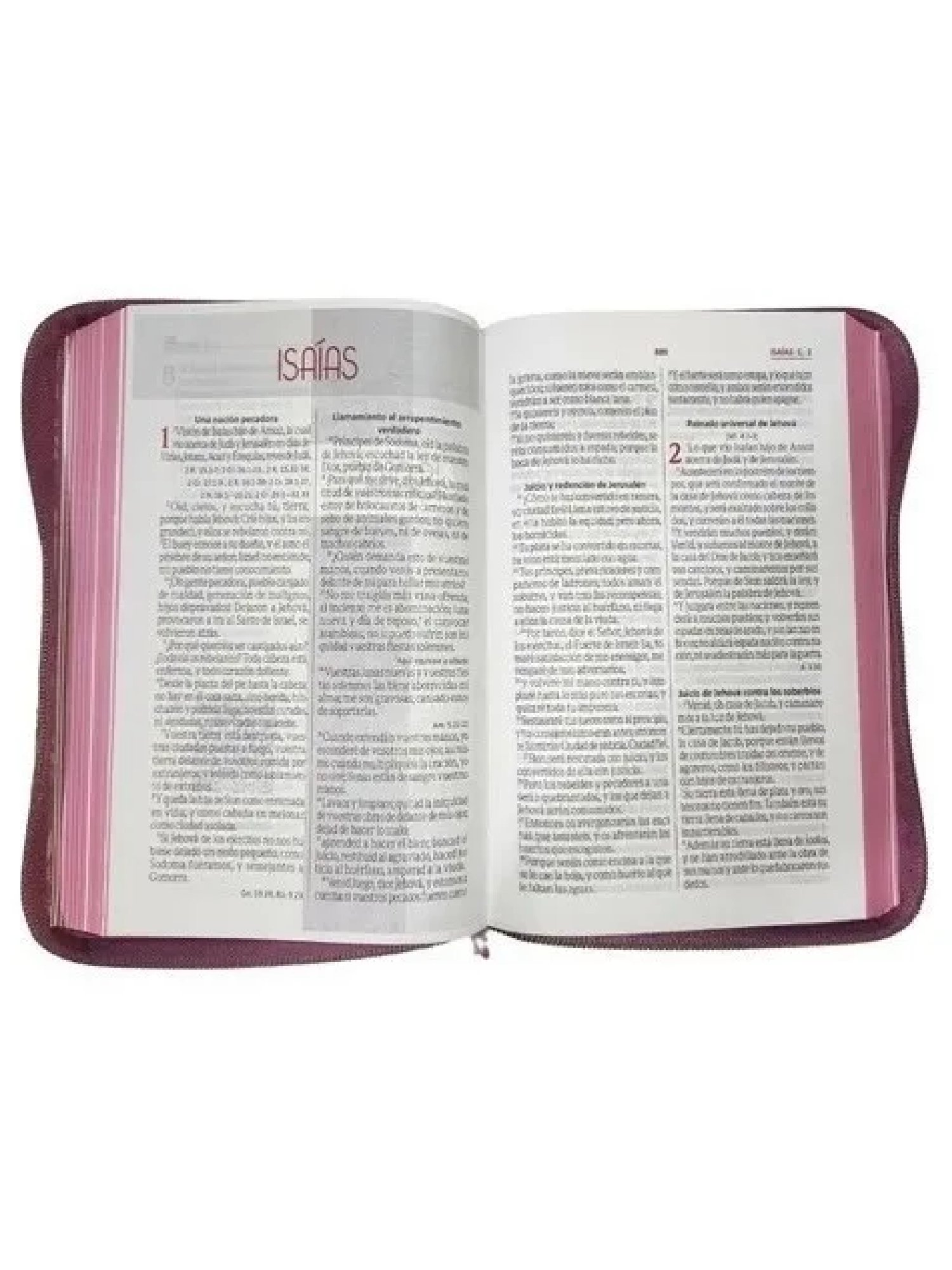 Biblia RV60 LG Rosada QR 4 Biblia RV60 LG Rosada QR - Image 4