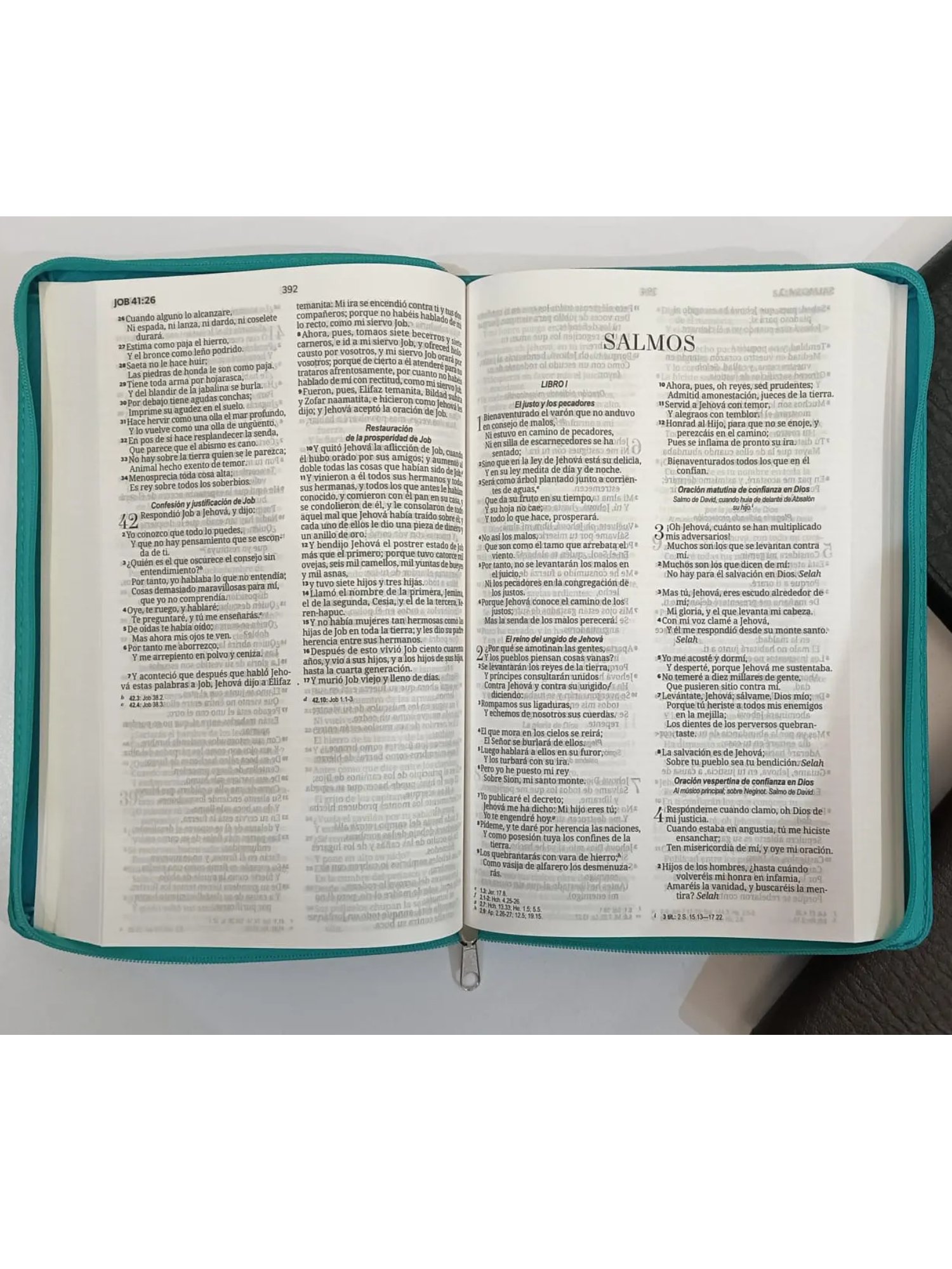 Biblia RVR60 Económica Tamaño Manual, Forrada 2 Biblia RVR60 Económica Tamaño Manual, Forrada - Image 2