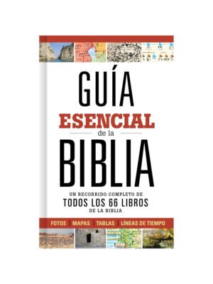 Guía Esencial De La Biblia
