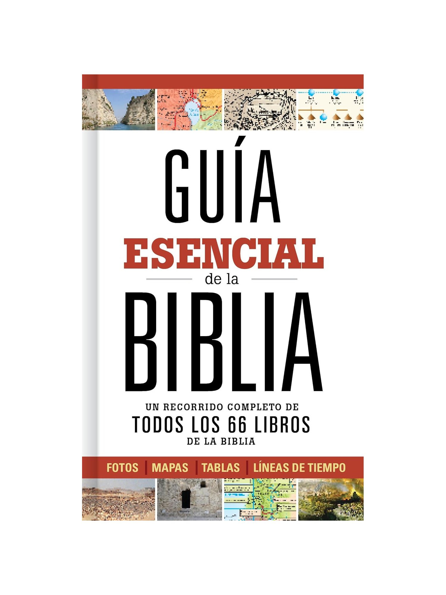guia esencial de la biblia 1 Guía Esencial De La Biblia