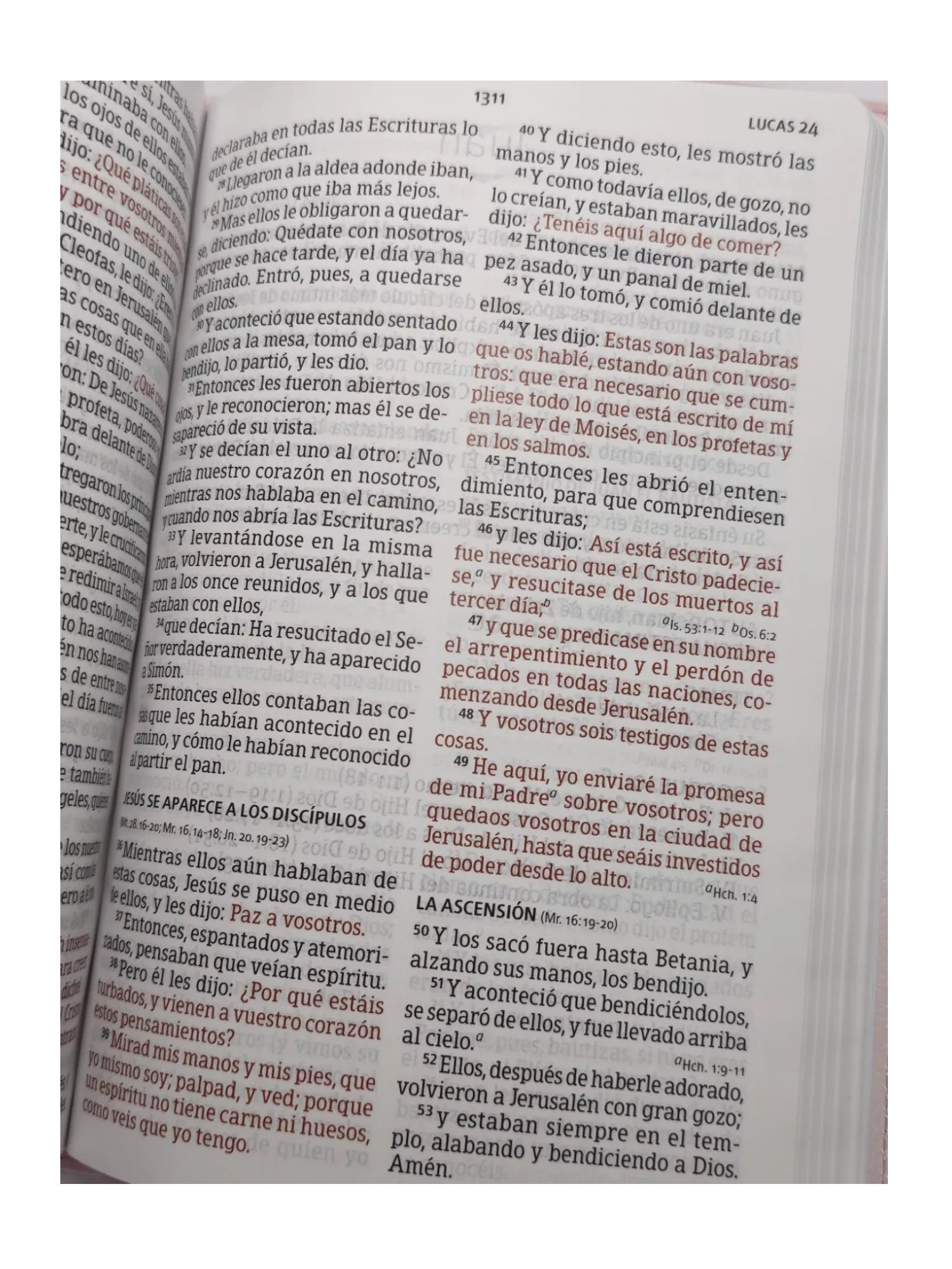 Biblia RVR 1960 Letra Grande Edición Especial, Marrón 2 Biblia RVR 1960 Letra Grande Edición Especial, Marrón - Image 2