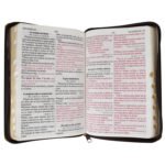 Biblia RVR 1960 León Letra Grande – Dorada con Índice – imagen 3