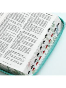 Biblia RVR065LGCZTI/ Turquesa/ Ind. Cierre Manija/ Imit. C- Pintado/ Pretty 6 Proyecto nuevo 2025 07 25T125836.204