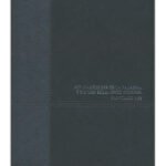 RV60 Biblia Diario Vivir Senti Piel negra – imagen 2
