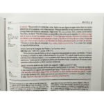 RV60 Biblia Diario Vivir Senti Piel negra – imagen 4