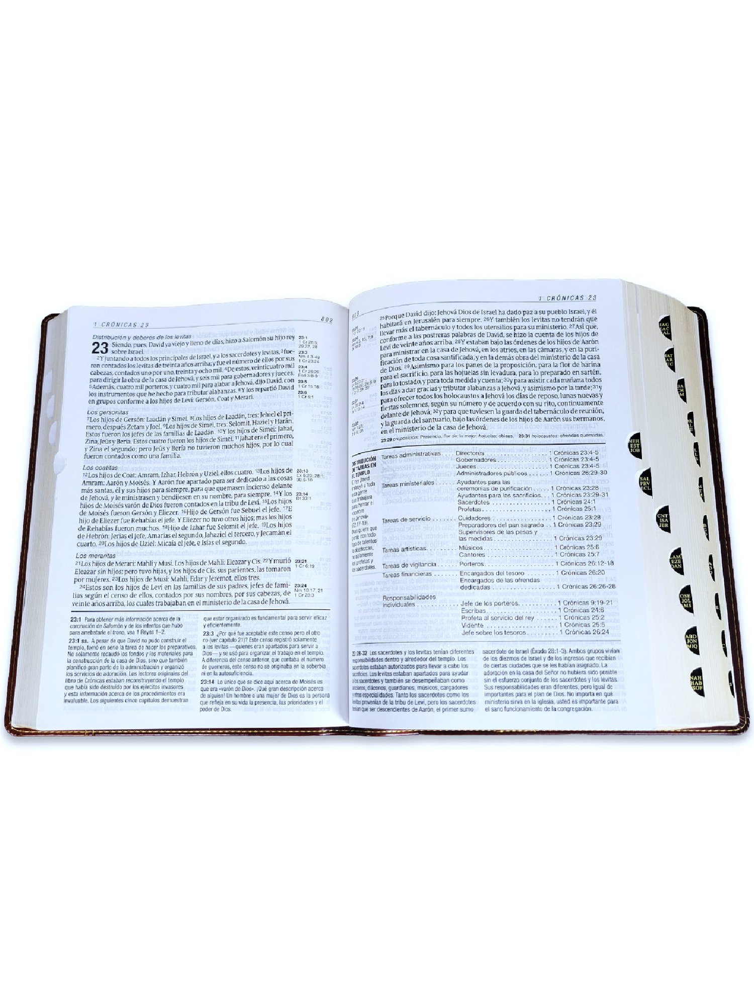 Biblia Diario Vivir RVR 1960 Café Índice Letra Grande 3 Biblia Diario Vivir RVR 1960 Café Índice Letra Grande - Image 3