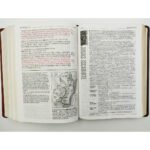 RV60 Biblia De Estudio Diario Vivir RVR60 Letra Grande Sentipiel Café Claro/Tyndale – imagen 5