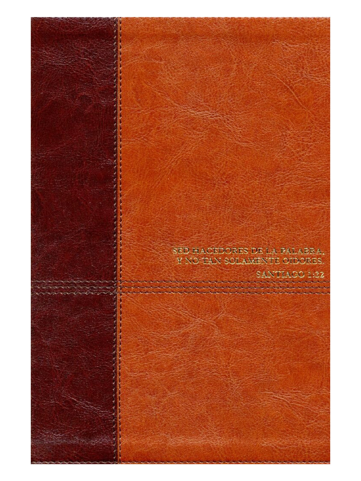 RVR60 Biblia de estudio Diario Vivir senti piel café claro/Tyndale 2 RVR60 Biblia de estudio Diario Vivir senti piel café claro/Tyndale - Image 2