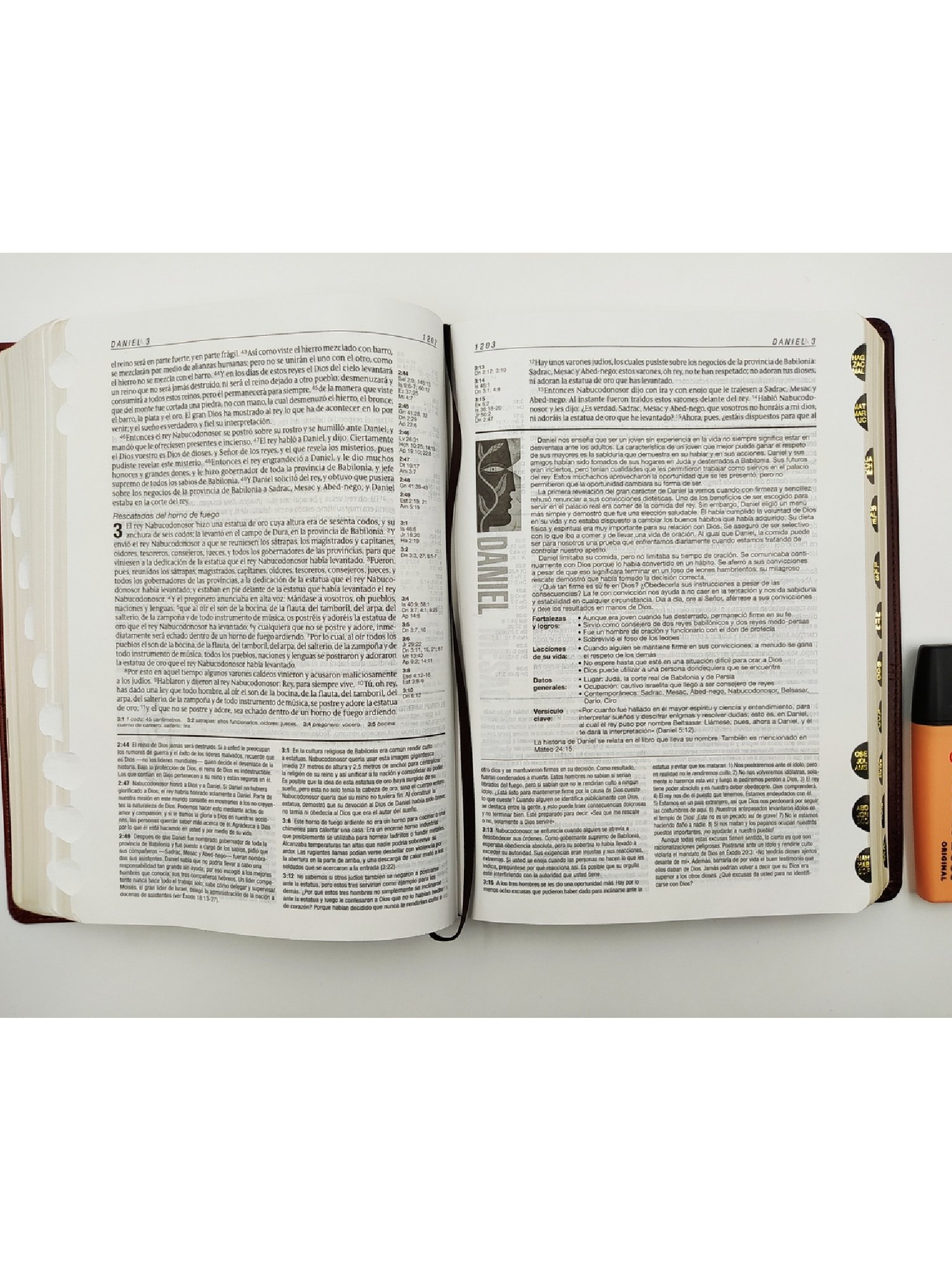 RVR60 Biblia de estudio Diario Vivir senti piel café claro/Tyndale 4 RVR60 Biblia de estudio Diario Vivir senti piel café claro/Tyndale - Image 4
