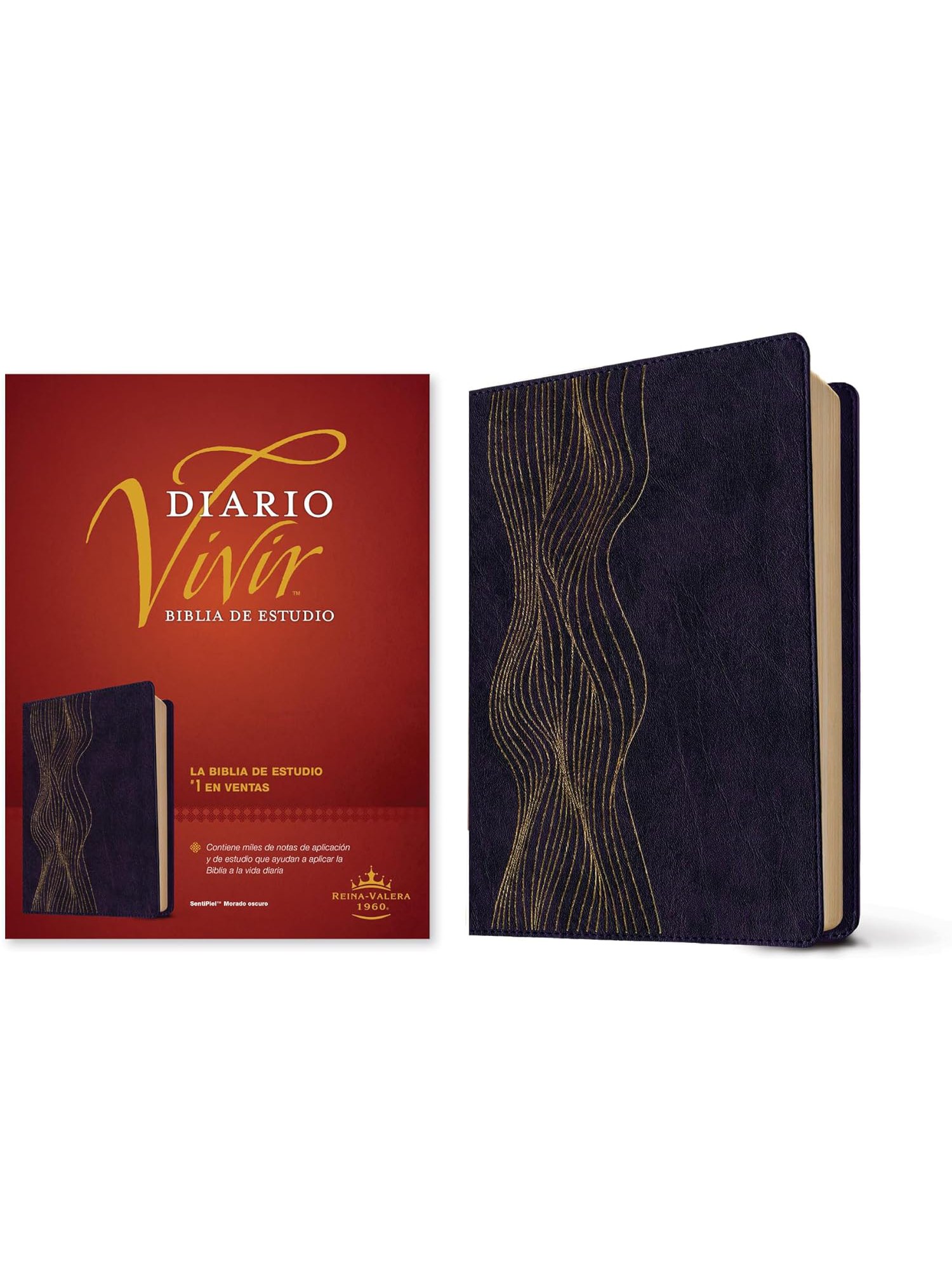 Biblia Diario Vivir RVR 1960 Morado Oscuro 2 Biblia Diario Vivir RVR 1960 Morado Oscuro - Image 2