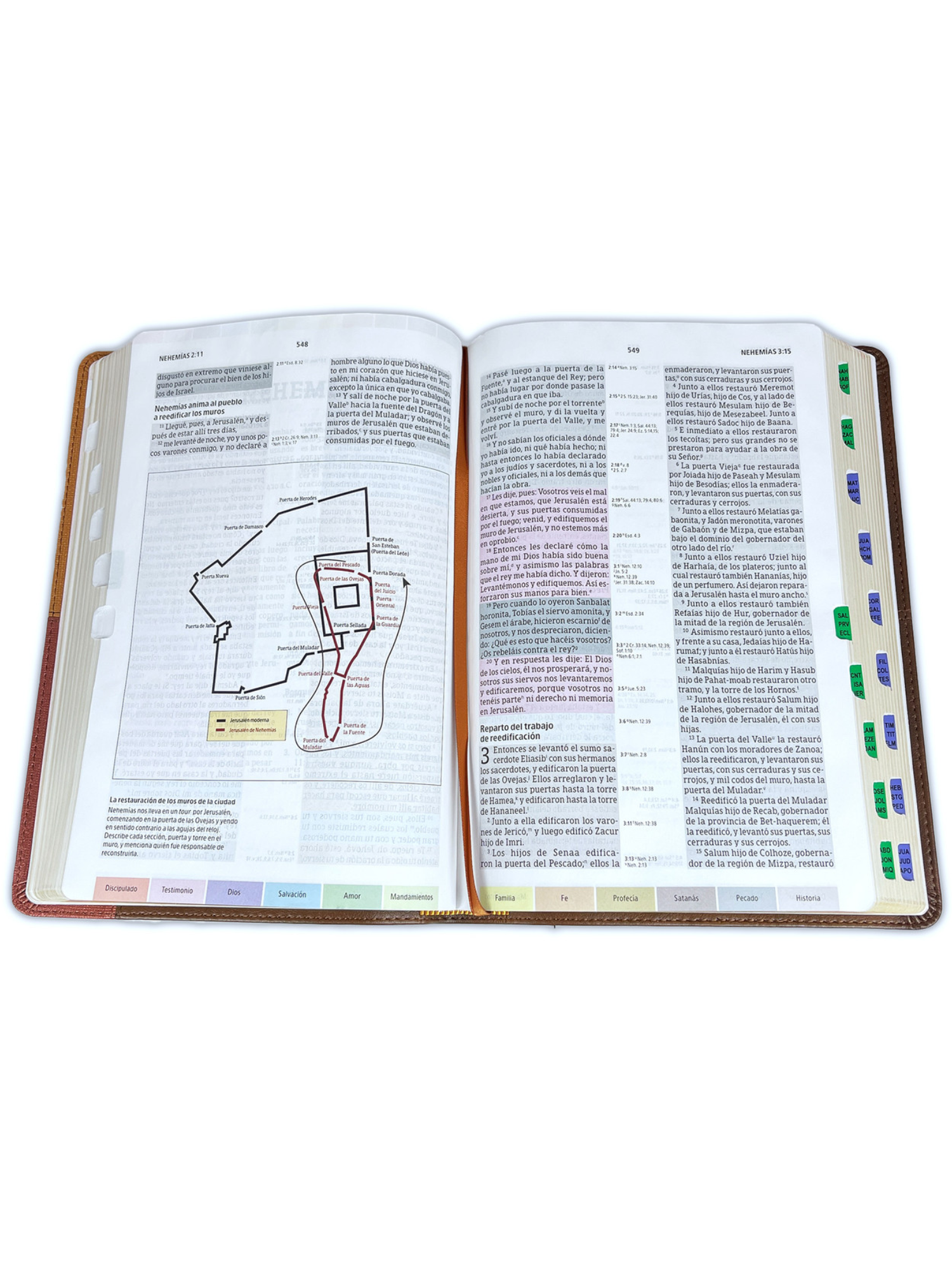 RVR1960 Biblia de Estudio Arcoiris, Cocoa/ Terracota Símil Piel Con Indice 4 RVR1960 Biblia de Estudio Arcoiris, Cocoa/ Terracota Símil Piel Con Indice - Image 4