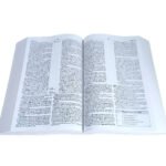 Biblia De Estudio Reina Valera 1960 MacArthur Tapa Rustica – imagen 2