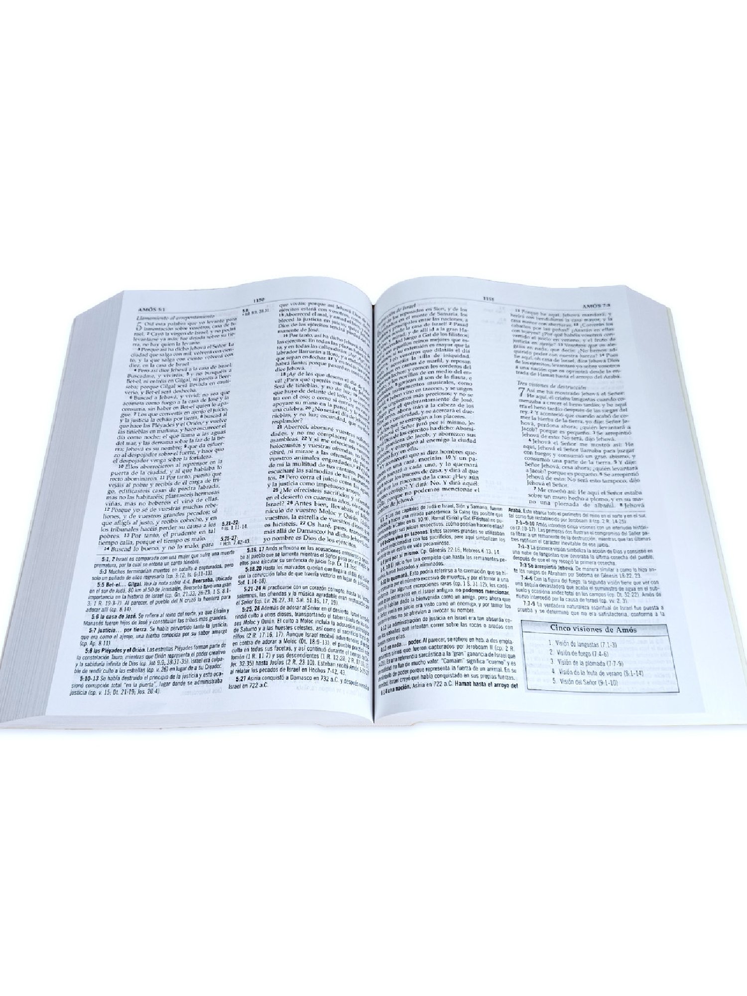 Biblia De Estudio Reina Valera 1960 MacArthur Tapa Rustica 2 Biblia De Estudio Reina Valera 1960 MacArthur Tapa Rustica - Image 2