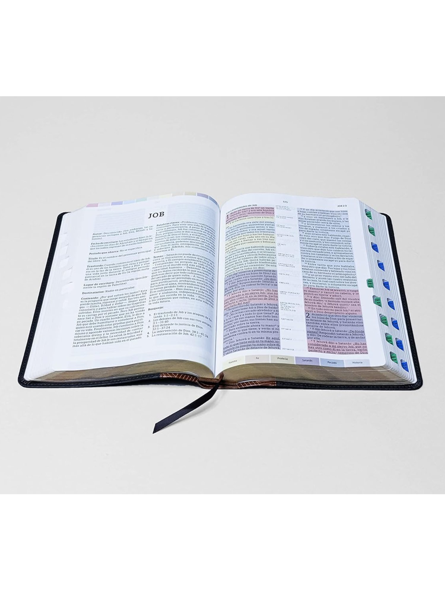Biblia de Estudio Arcoiris Con indice 2 Biblia de Estudio Arcoiris Con indice - Image 2
