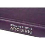 RVR 1960 Biblia de Estudio Arcoiris, morado/multicolor – imagen 4