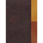 RVR 1960 Biblia de Estudio Arcoiris, cocoa/ terracota simil piel – imagen 3