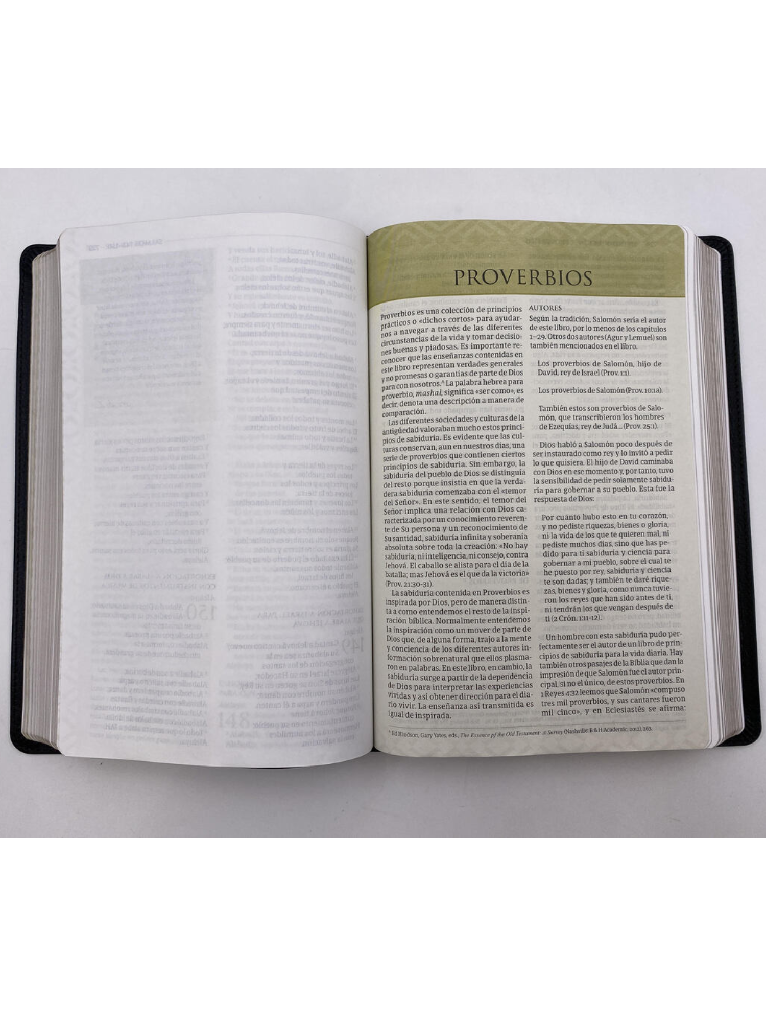 Biblia de Estudio Temática RVR 1960, Miguel Núñez, Negro, Piel Genuina 4 Biblia de Estudio Temática RVR 1960, Miguel Núñez, Negro, Piel Genuina - Image 4