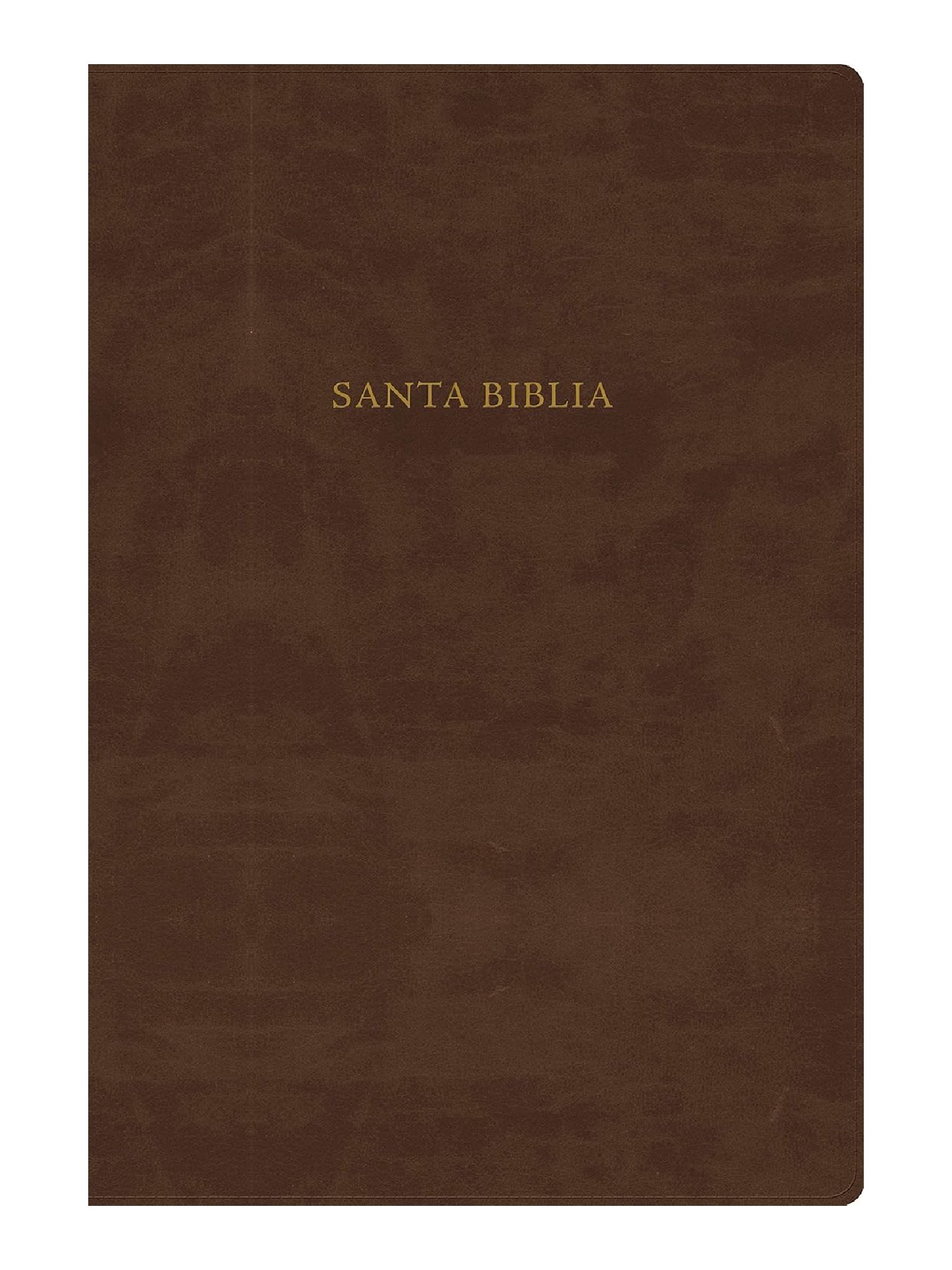 Biblia Scofield RVR 1960 Café 2 Biblia Scofield RVR 1960 Café - Image 2