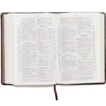 Biblia de estudio Scofield Cuero Artificial, Canto dorado, Reina Valera 1960 – imagen 3