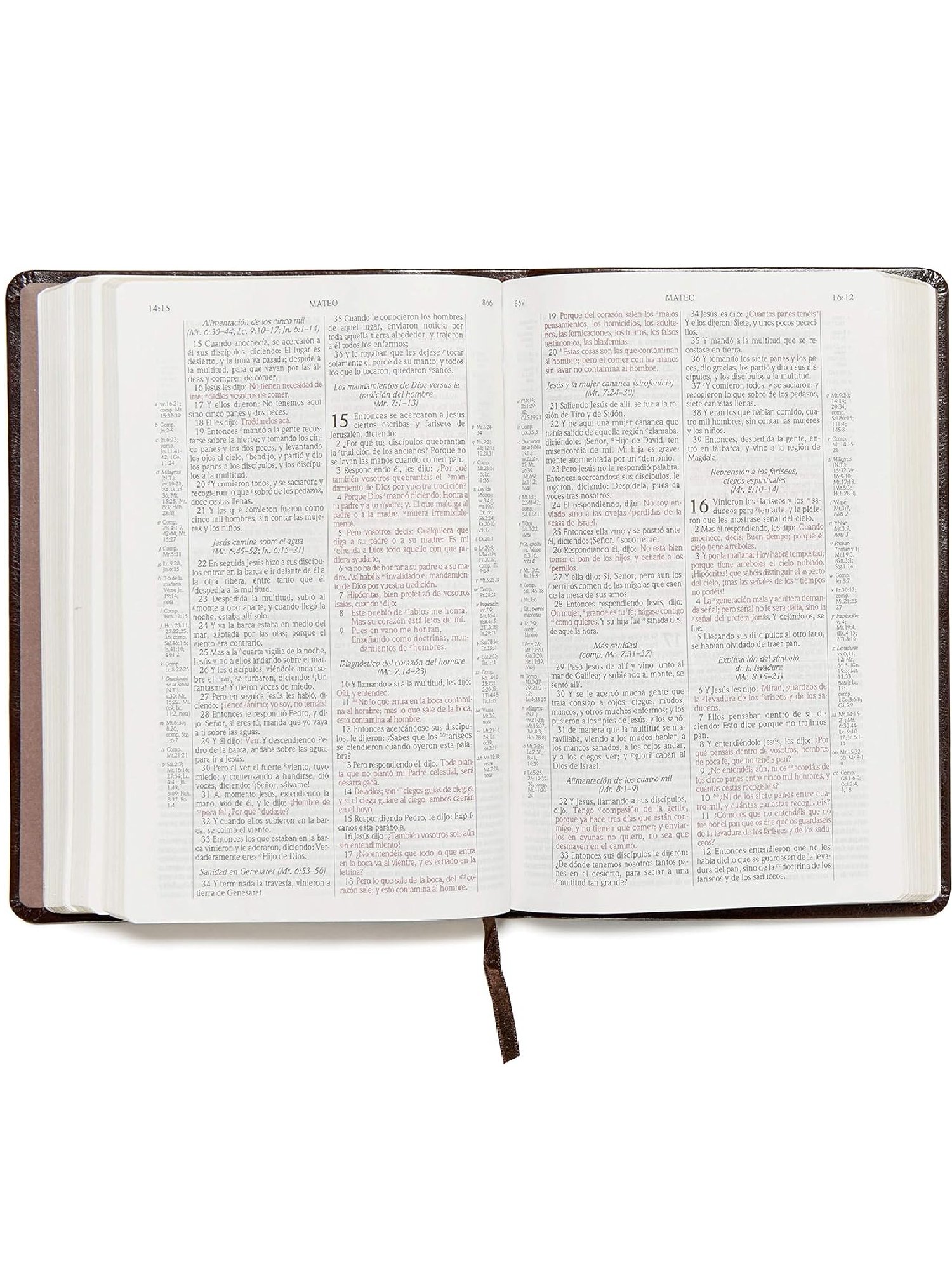 Biblia Scofield RVR 1960 Café 3 Biblia Scofield RVR 1960 Café - Image 3