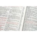 Biblia de estudio Scofield Cuero Artificial, Canto dorado, Reina Valera 1960 – imagen 4