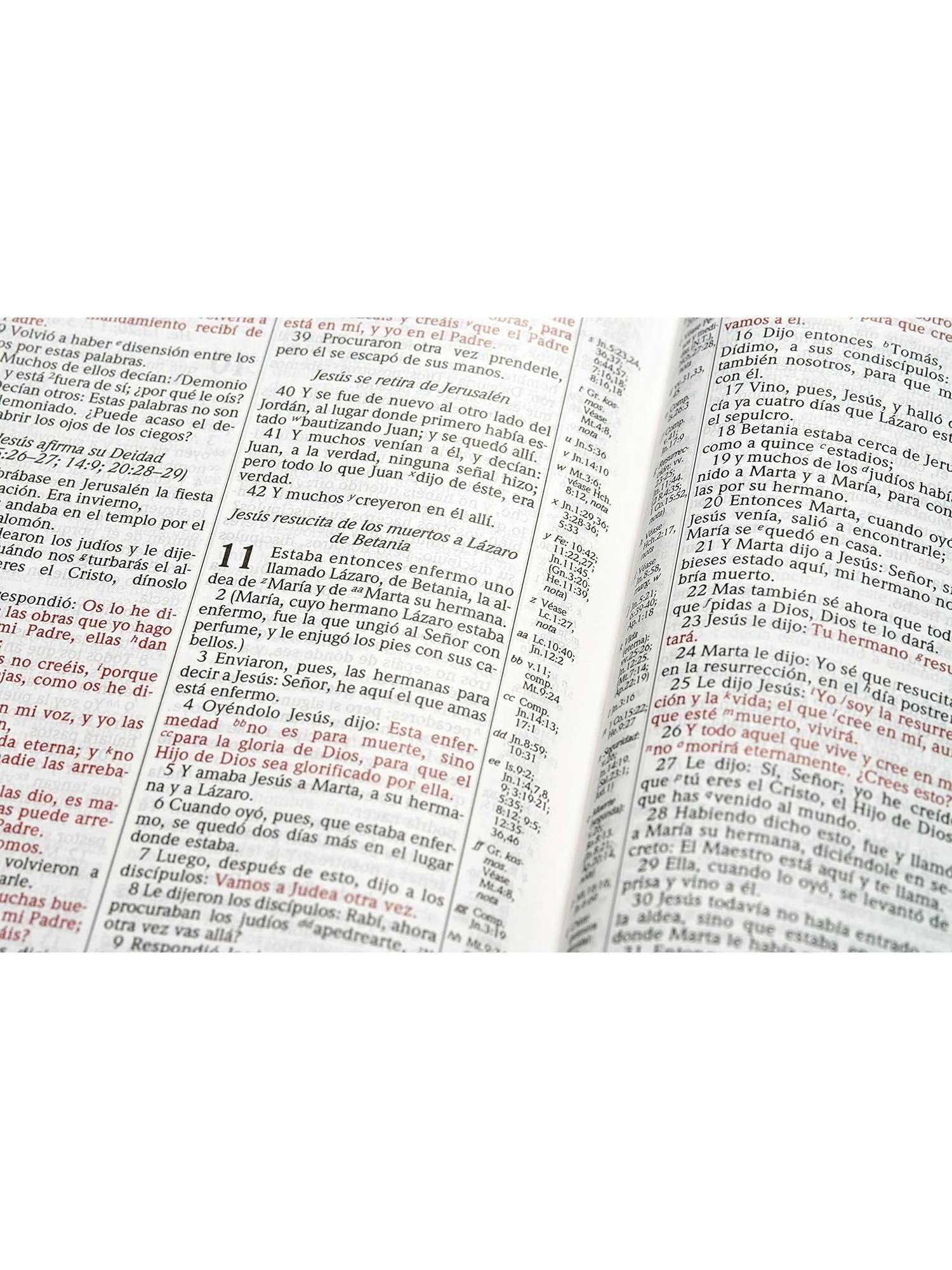 Biblia Scofield RVR 1960 Café 4 Biblia Scofield RVR 1960 Café - Image 4
