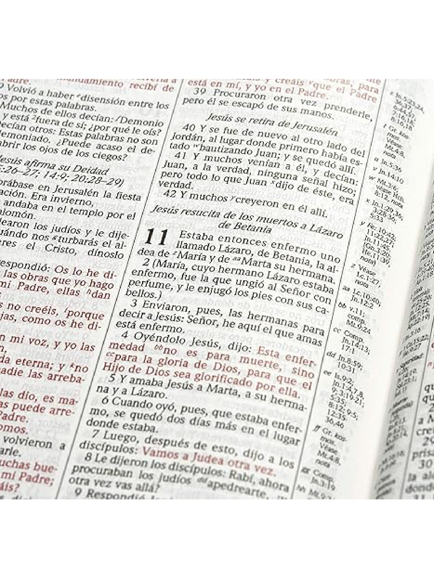Biblia Scofield RVR 1960 Sin Índice Tapa Dura 3 Biblia Scofield RVR 1960 Sin Índice Tapa Dura - Image 3