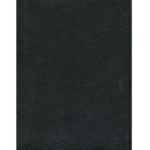 Biblia de Estudio Plenitud RVR60 Sentí Piel, Negra, con Índice
