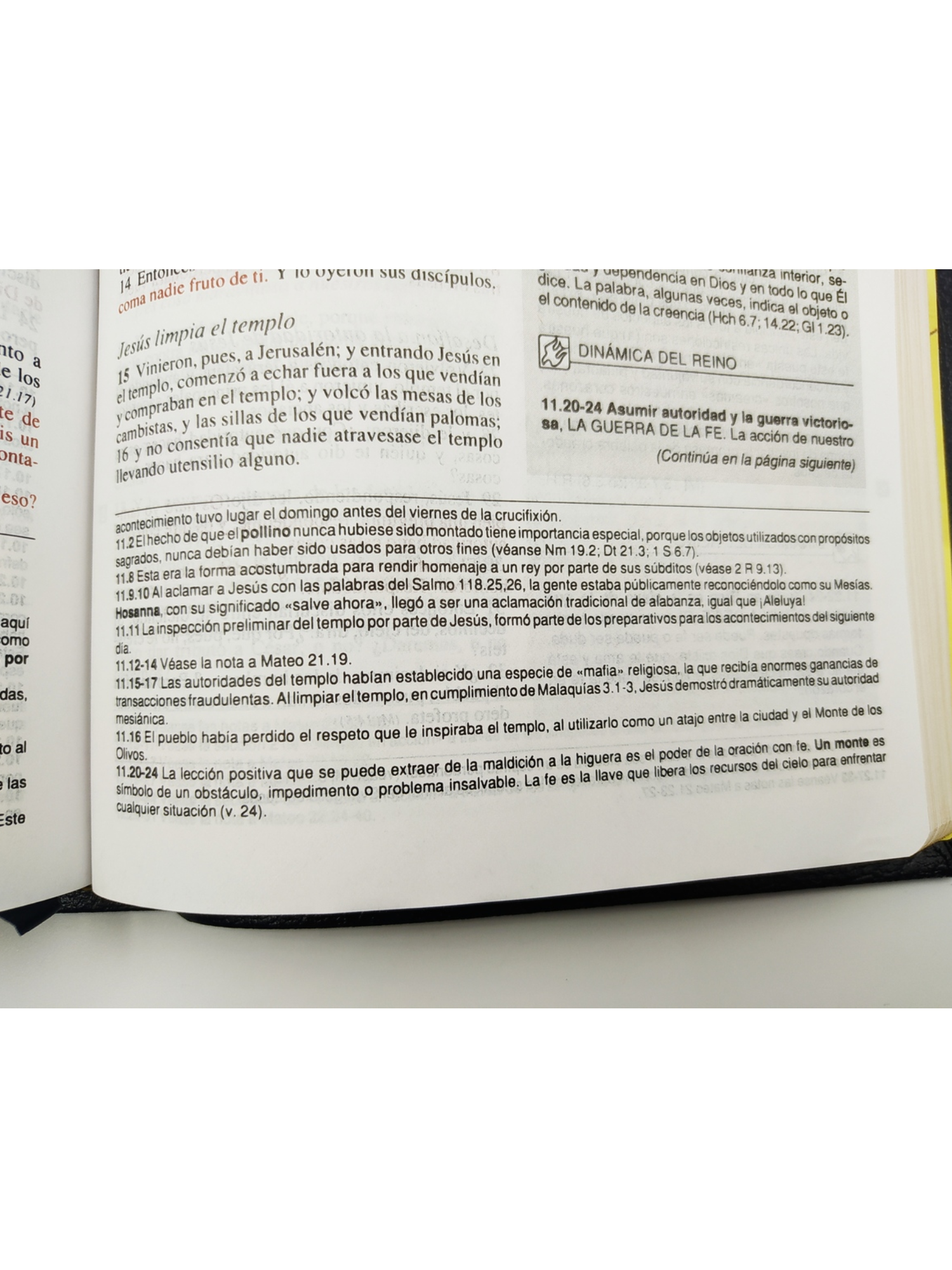 Biblia Plenitud RVR60 Piel 4 Biblia Plenitud RVR60 Piel - Image 4