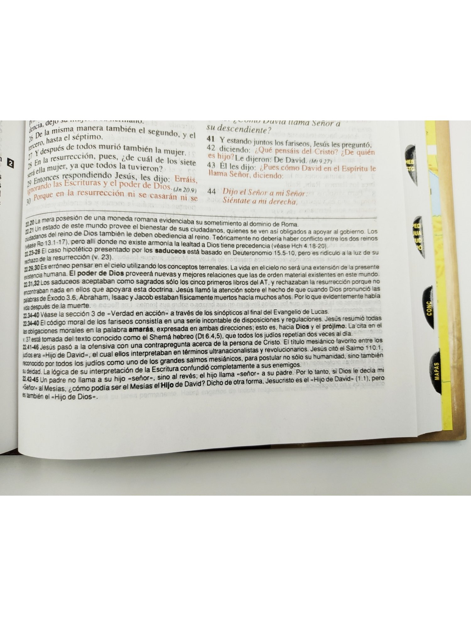 Biblia de Estudio Plenitud RVR60 Tapa Dura, Con Índice 4 Biblia de Estudio Plenitud RVR60 Tapa Dura, Con Índice - Image 4
