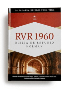 Biblia De Estudio Holman RVR 1960, Café, Símil Piel 8 Biblia De Estudio Holman RVR 1960, Multicolor