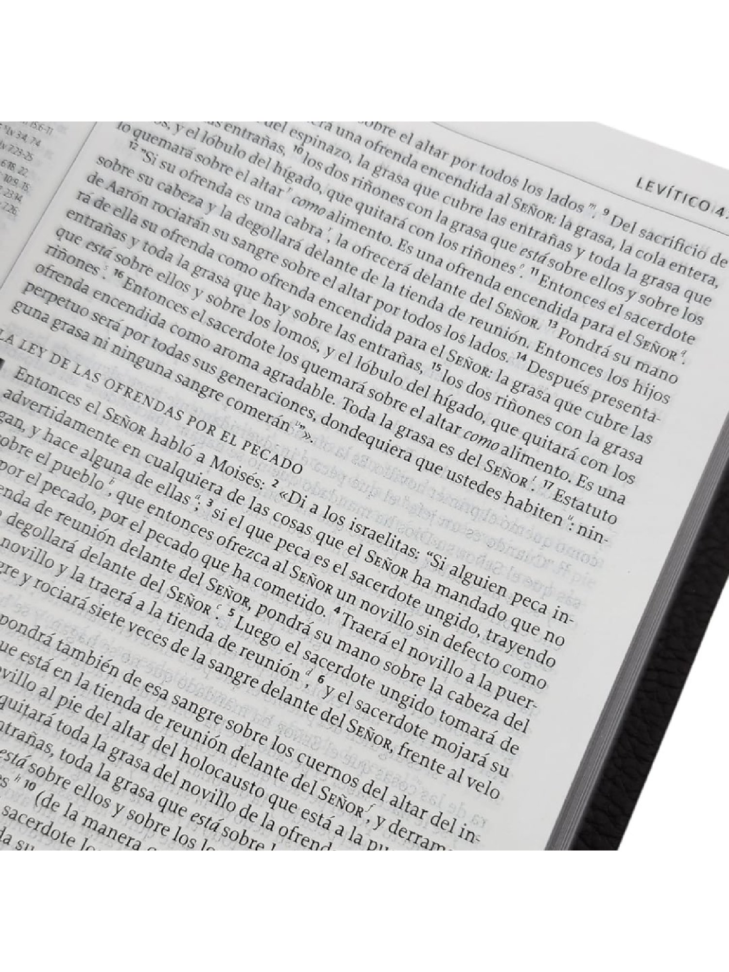 Biblia De Estudio De La Reforma / Edicion Condensada Piel Genuina / Cafe Oscuro 3 Biblia De Estudio De La Reforma / Edicion Condensada Piel Genuina / Cafe Oscuro - Image 3
