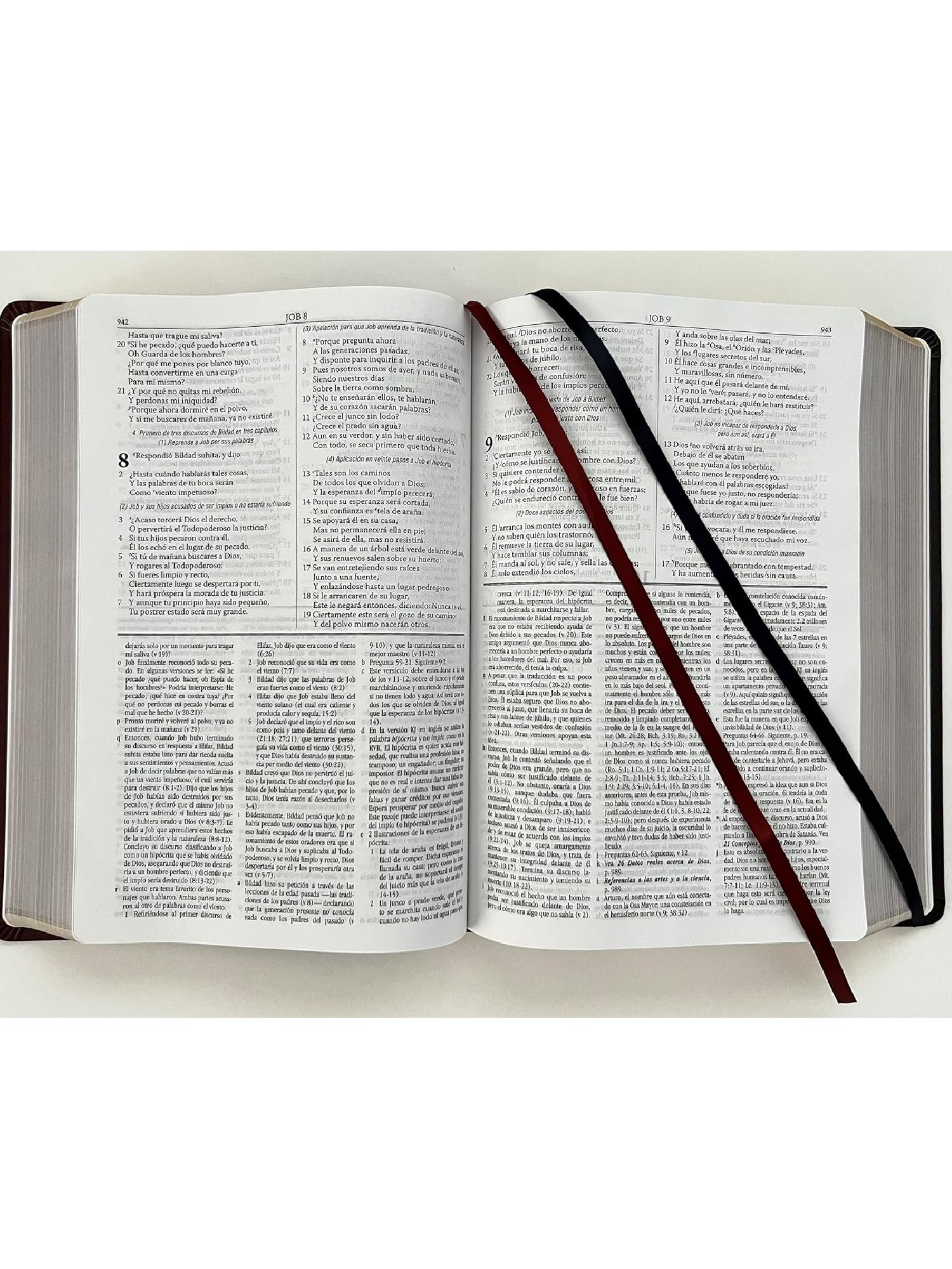 Biblia RVR 1960 de Estudio Dake Duotono Marrón Símil Piel 2 Biblia RVR 1960 de Estudio Dake Duotono Marrón Símil Piel - Image 2