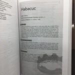 NVI Biblia la historia. Tapa dura. – imagen 2