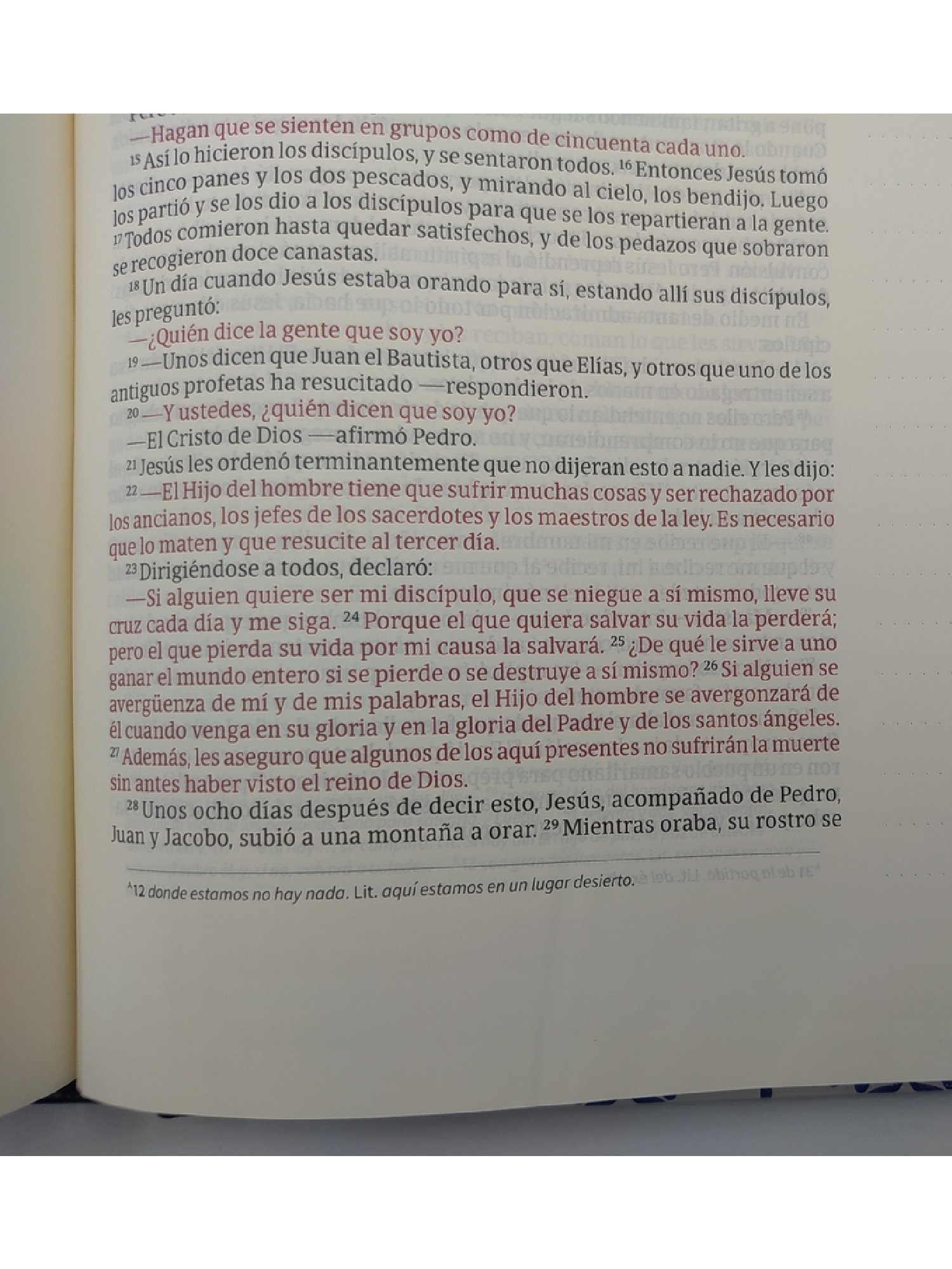 NVI Biblia De Apuntes Blanco y Azul Simil Piel/BH 6 NVI Biblia De Apuntes Blanco y Azul Simil Piel/BH - Image 6