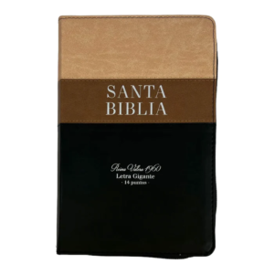 Biblia RVR060/Tricolor Beige/Cafe/Negro