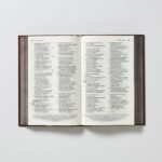Biblia / NBLA / Sola Scriptura – imagen 3